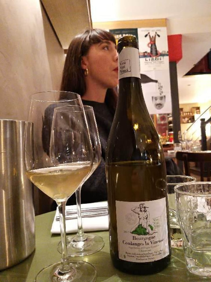 Bourgogne Coulanges La Vineuse - Vini Viti Vinci - Nicolas Vauthier "Kikro" 