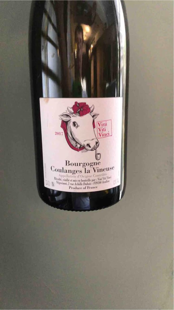 Bourgogne Coulanges La Vineuse - Vini Viti Vinci - Nicolas Vauthier "Kikro" 