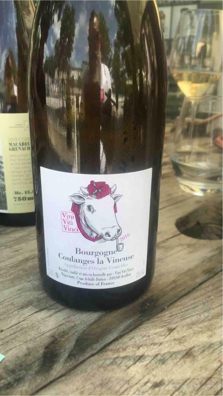 Bourgogne Coulanges La Vineuse - Vini Viti Vinci - Nicolas Vauthier "Kikro" 