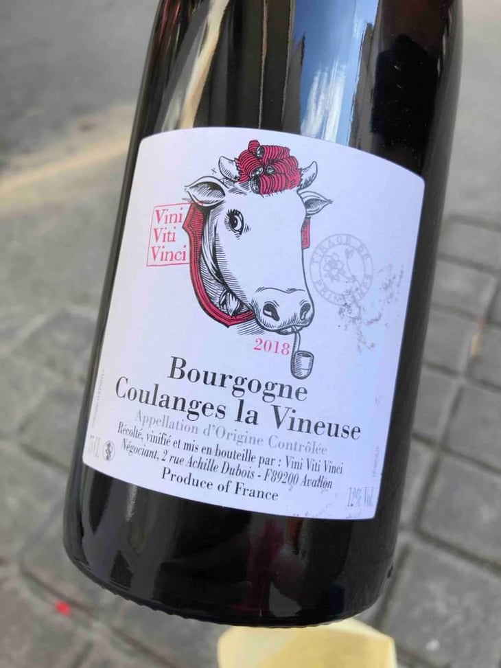 Bourgogne Coulanges La Vineuse - Vini Viti Vinci - Nicolas Vauthier "Kikro" 