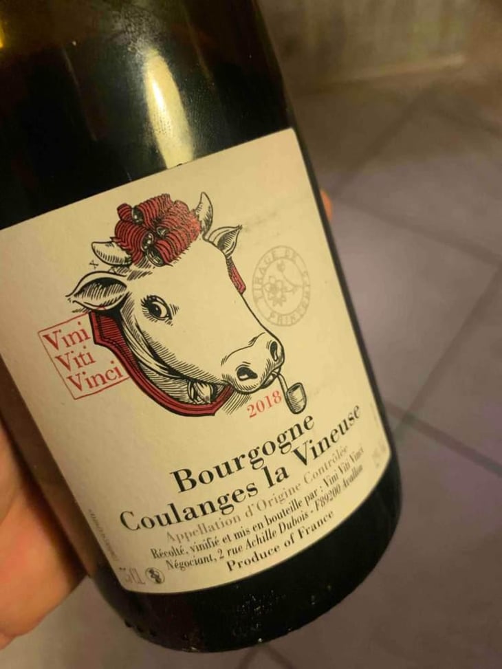 Bourgogne Coulanges La Vineuse - Vini Viti Vinci - Nicolas Vauthier "Kikro" 