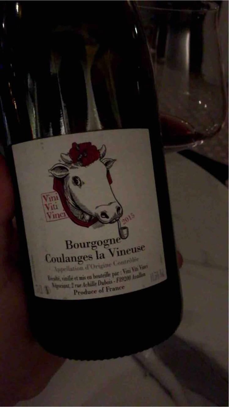 Bourgogne Coulanges La Vineuse - Vini Viti Vinci - Nicolas Vauthier "Kikro" 