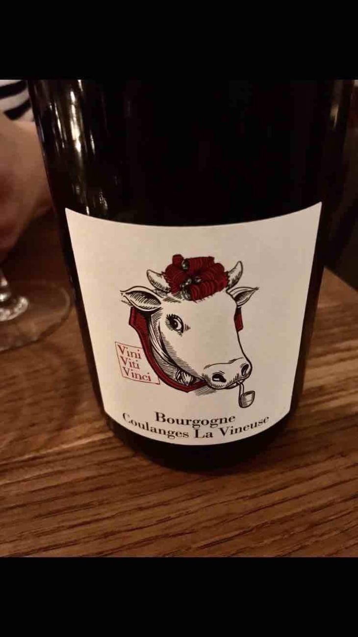 Bourgogne Coulanges La Vineuse - Vini Viti Vinci - Nicolas Vauthier "Kikro" 