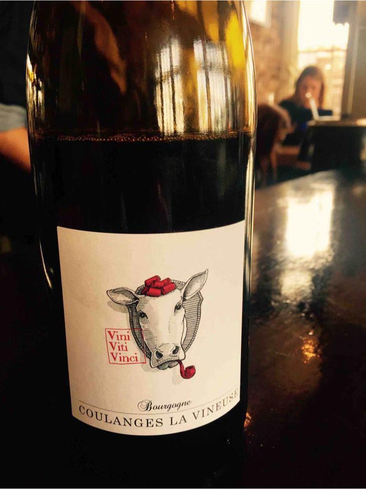 Bourgogne Coulanges La Vineuse - Vini Viti Vinci - Nicolas Vauthier "Kikro" 