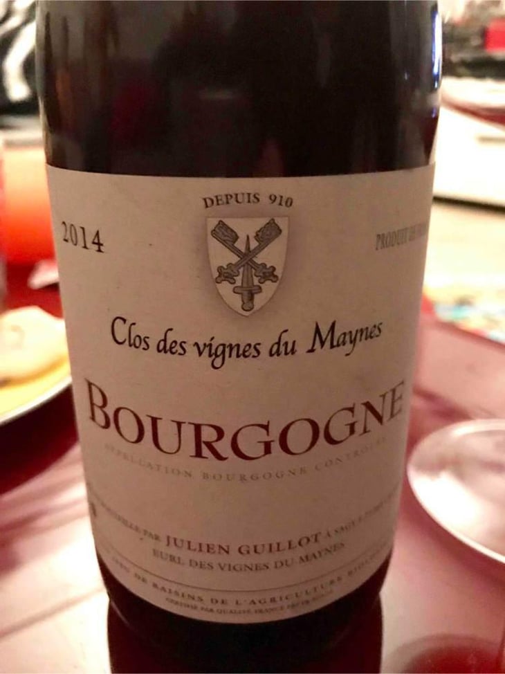 Bourgogne - Clos des Vignes du Maynes - Julien Guillot 