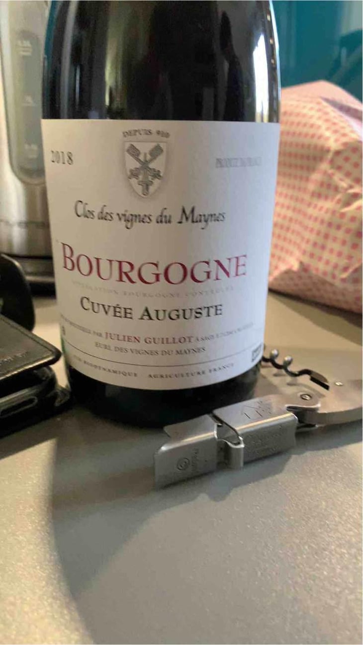 Bourgogne - Clos des Vignes du Maynes - Julien Guillot 