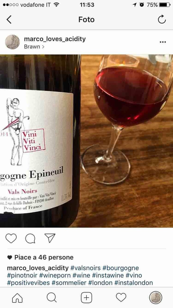 Bourgogne Epineuil "Vals Noir" - Vini Viti Vinci - Nicolas Vauthier "Kikro" 