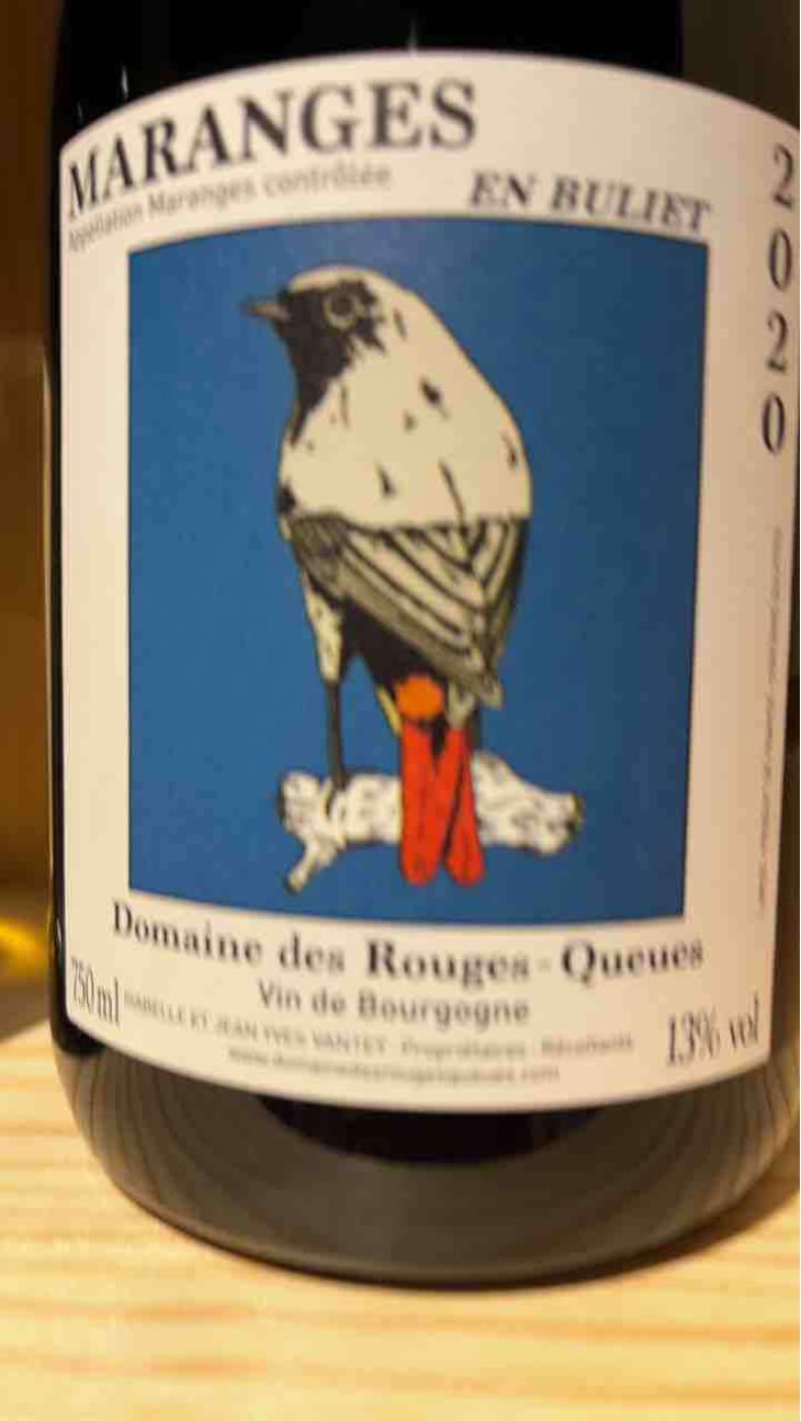 Bourgogne Hautes-Côtes de Beaune (Rouge) - Domaine des Rouges-Queues - Isabelle & Jean-Yves Vantey 