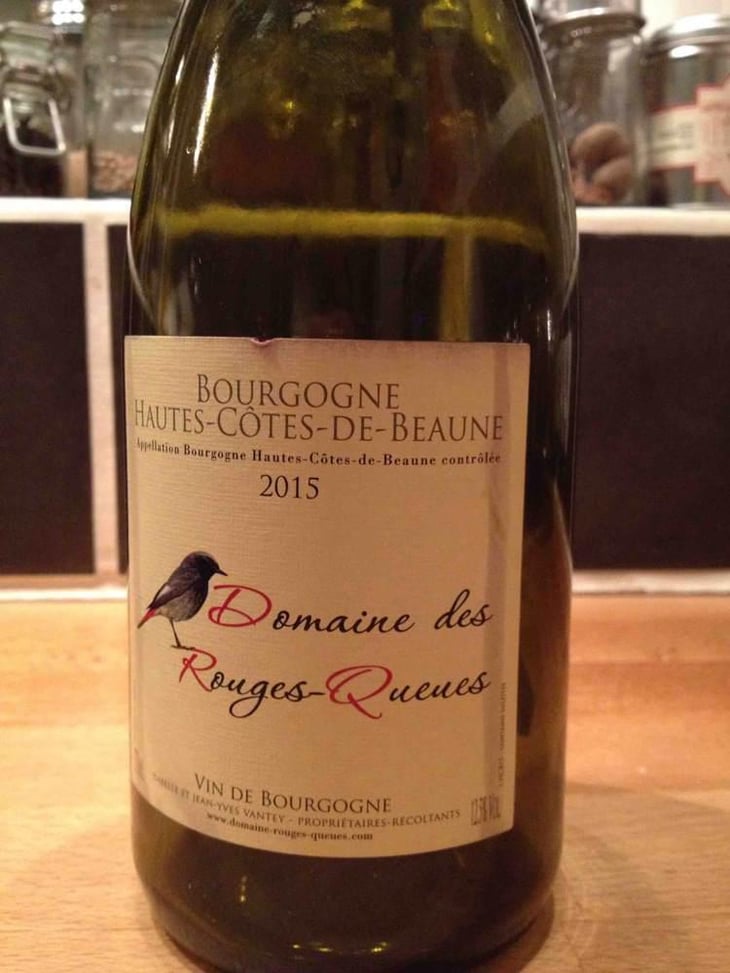 Bourgogne Hautes-Côtes de Beaune (Rouge) - Domaine des Rouges-Queues - Isabelle & Jean-Yves Vantey 