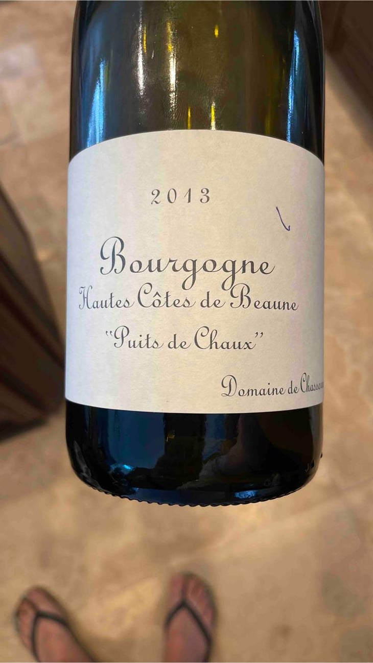 Hautes Côtes De Beaune "Puits De Chaux" - Domaine de Chassorney - Frédéric Cossard 