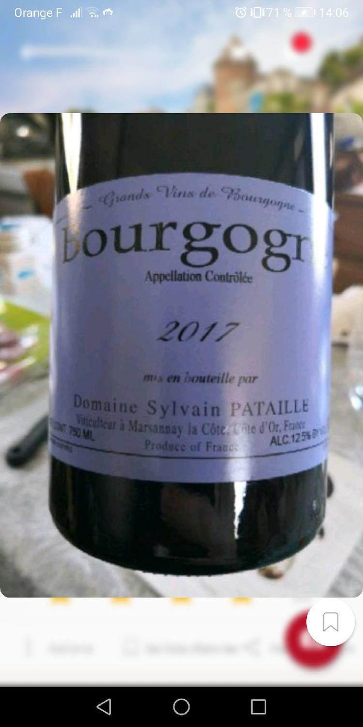 Bourgogne - Sylvain Pataille - Sylvain Pataille 