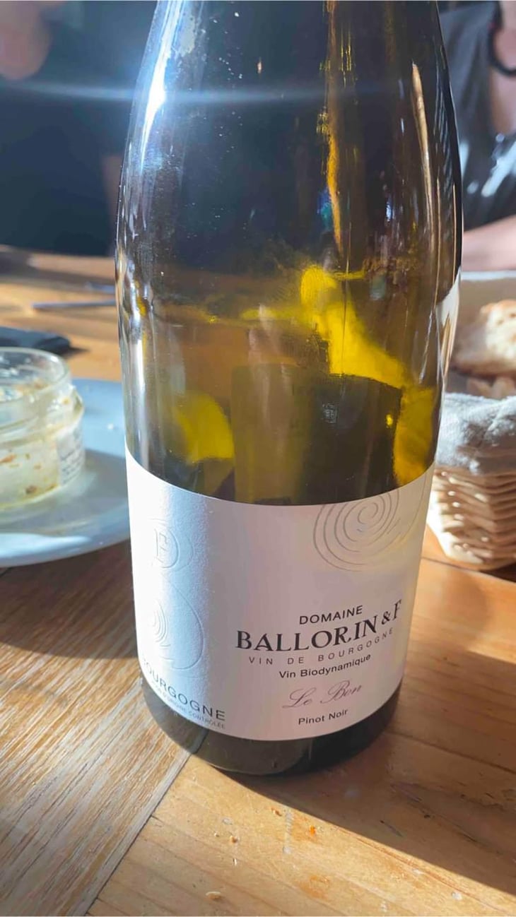 Le Bon - Domaine Ballorin - Gilles Ballorin 