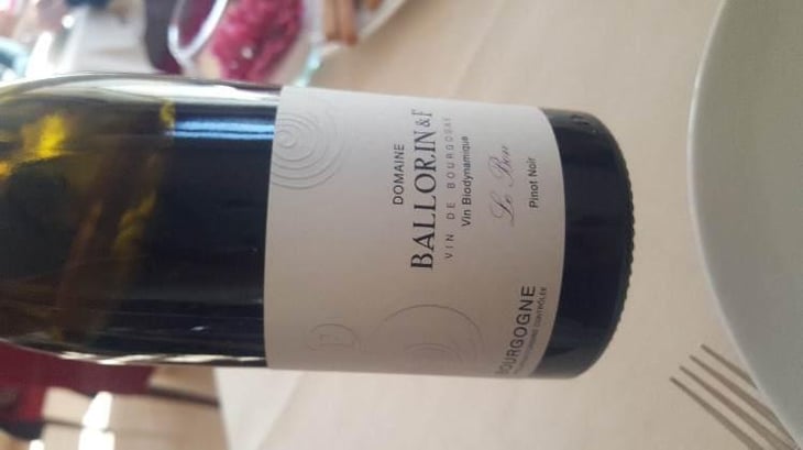 Le Bon - Domaine Ballorin - Gilles Ballorin 
