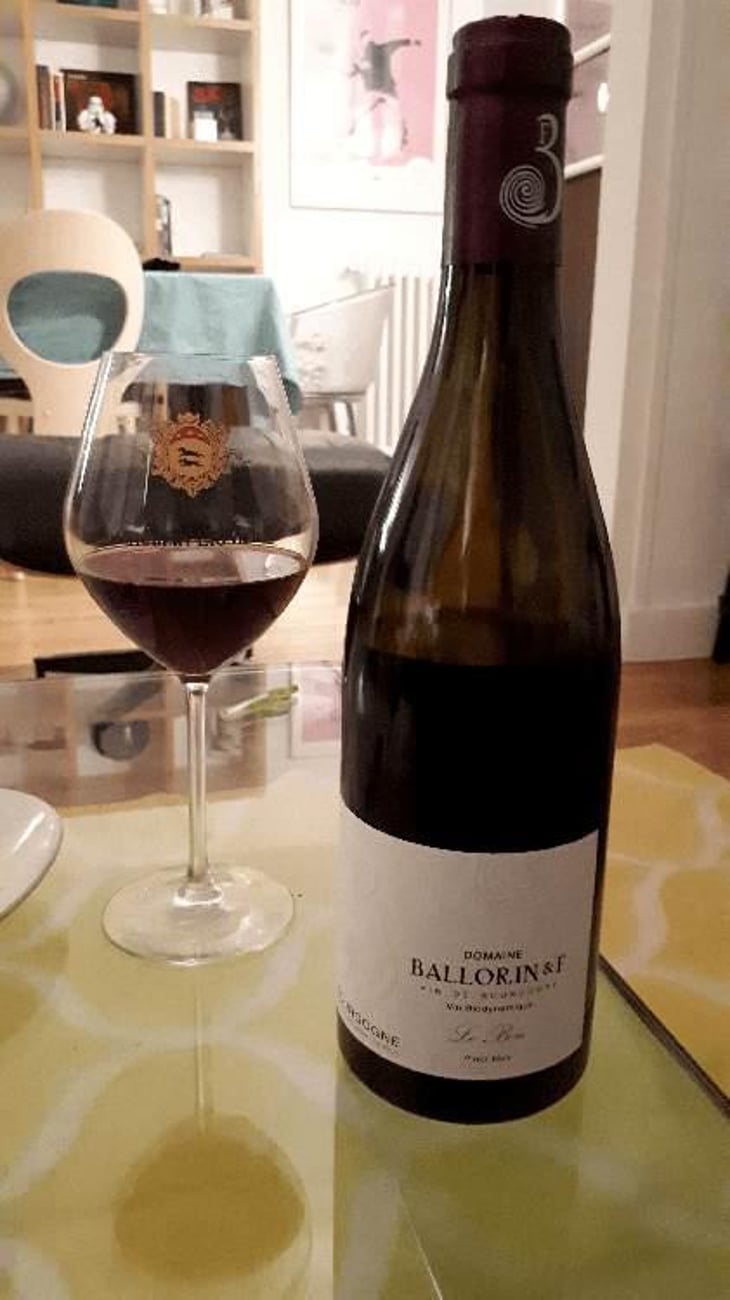 Le Bon - Domaine Ballorin - Gilles Ballorin 