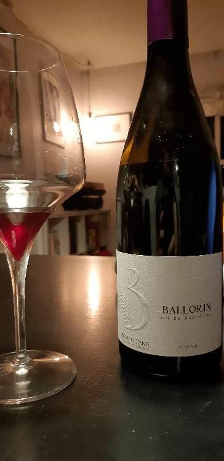 Le Bon - Domaine Ballorin - Gilles Ballorin 