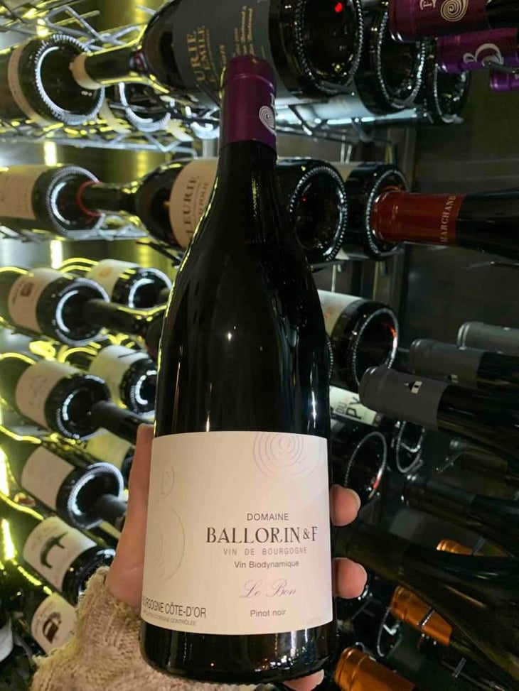 Le Bon - Domaine Ballorin - Gilles Ballorin 
