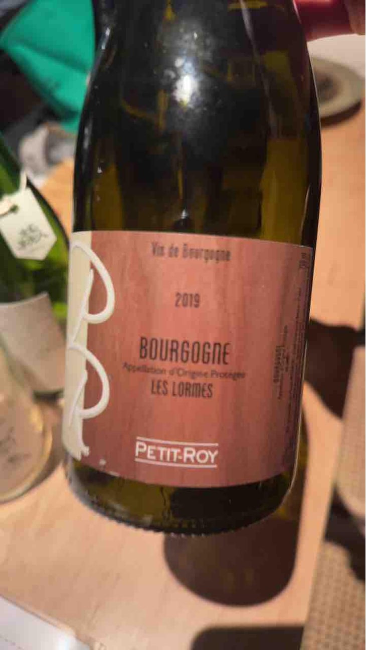 Bourgogne "Les Lormes" - Domaine Petit-Roy - Seiichi Saito 