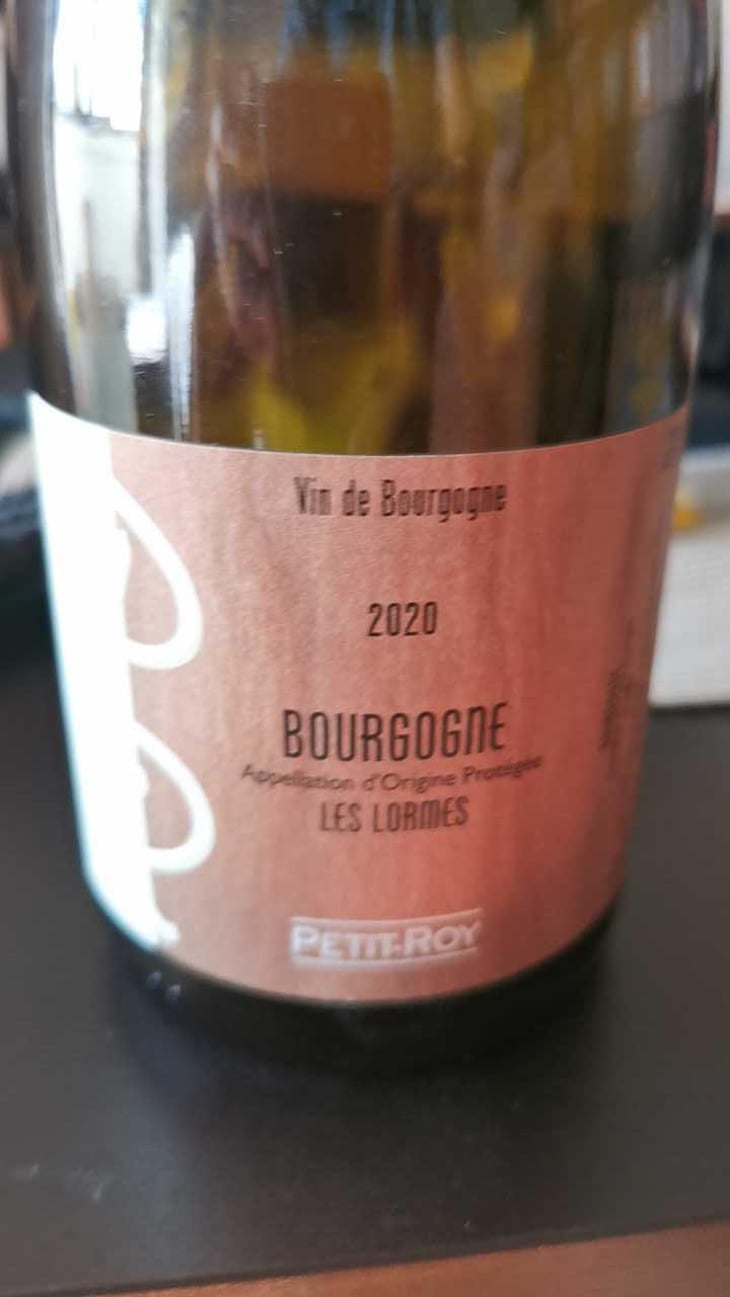 Bourgogne "Les Lormes" - Domaine Petit-Roy - Seiichi Saito 