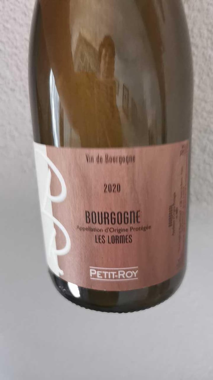 Bourgogne "Les Lormes" - Domaine Petit-Roy - Seiichi Saito 