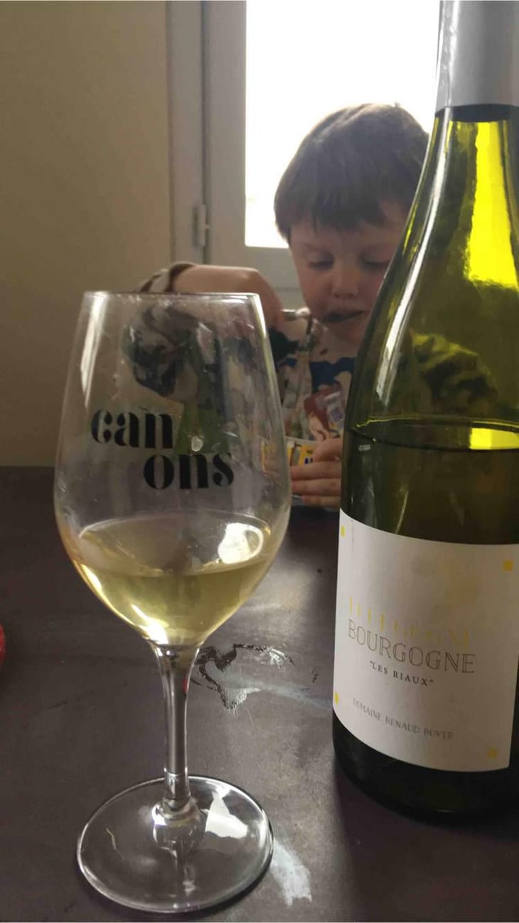Bourgogne "Les Riaux" - Blanc - Domaine Renaud Boyer - Renaud Boyer 