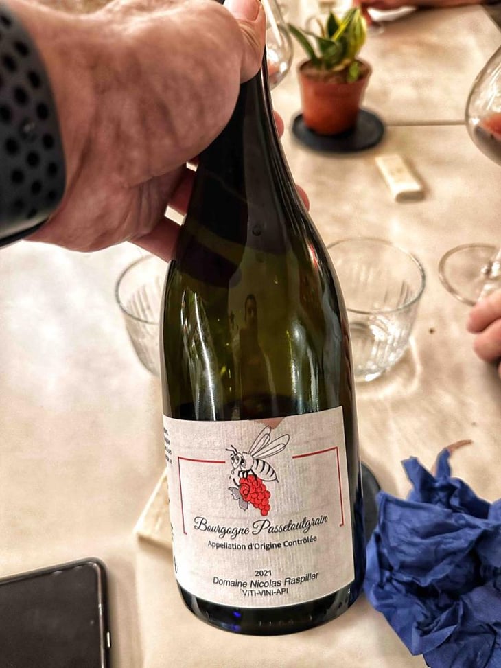 Bourgogne passetoutgrain - Domaine Nicolas Raspiller - Nicolas Raspiller 
