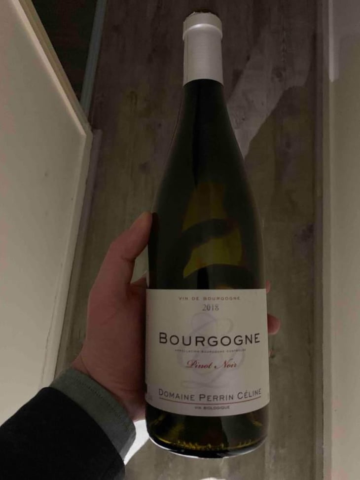 Bourgogne Pinot Noir 2018 - Domain Perrin Céline - Céline Perrin 