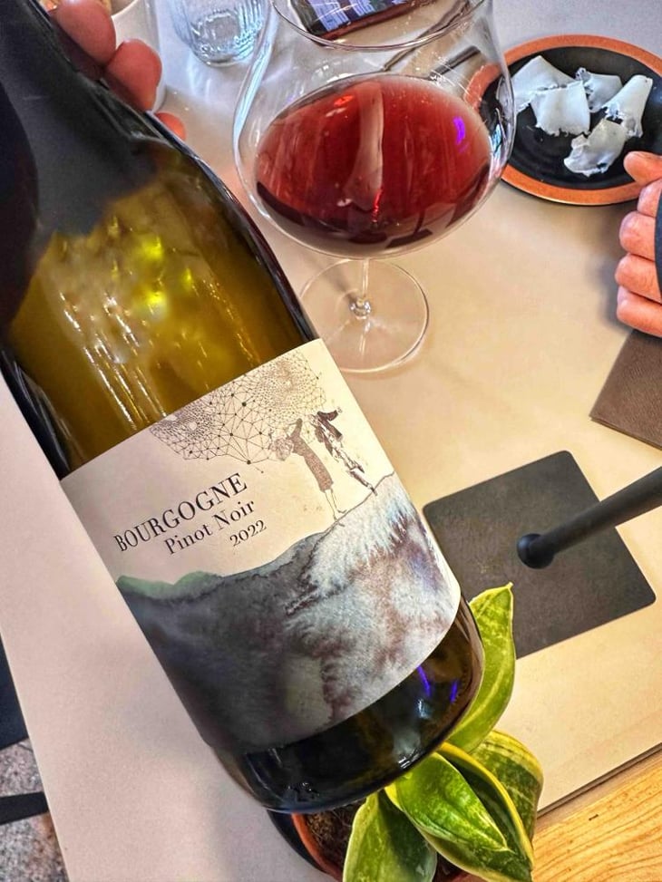 Bourgogne Pinot Noir - Domaine Didon - Naima & David Didon 