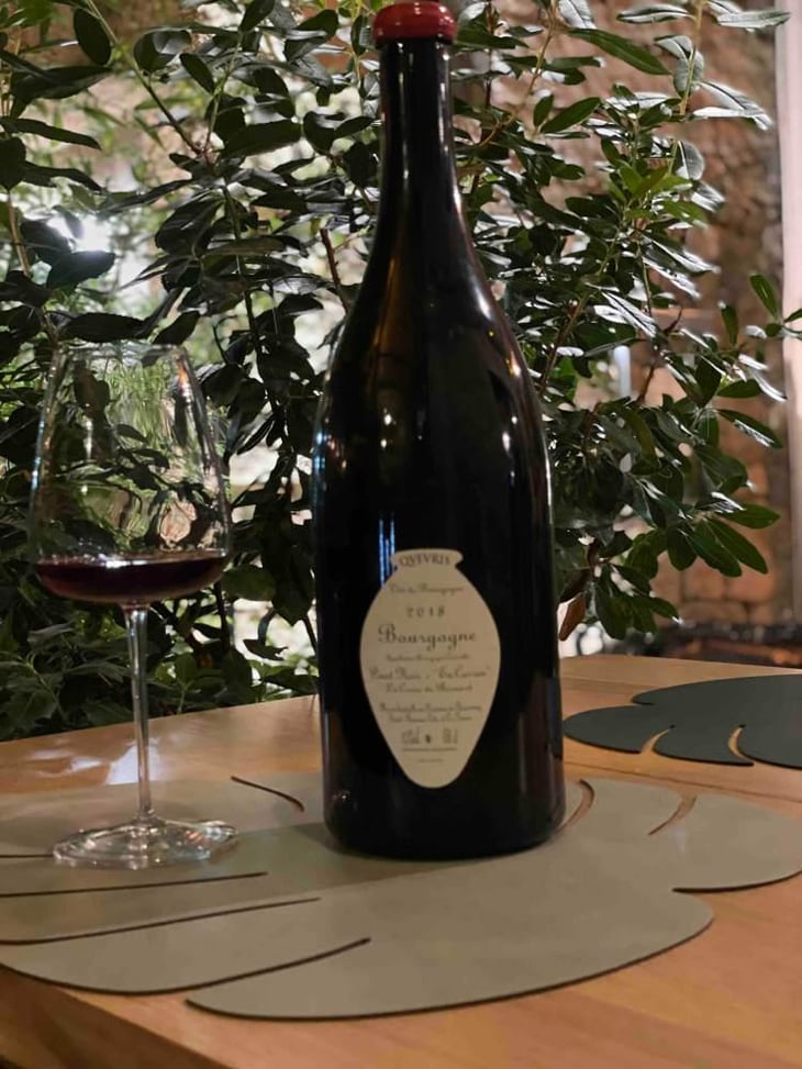 Bourgogne Pinot Noir "En Carran" - Domaine de Chassorney - Frédéric Cossard 