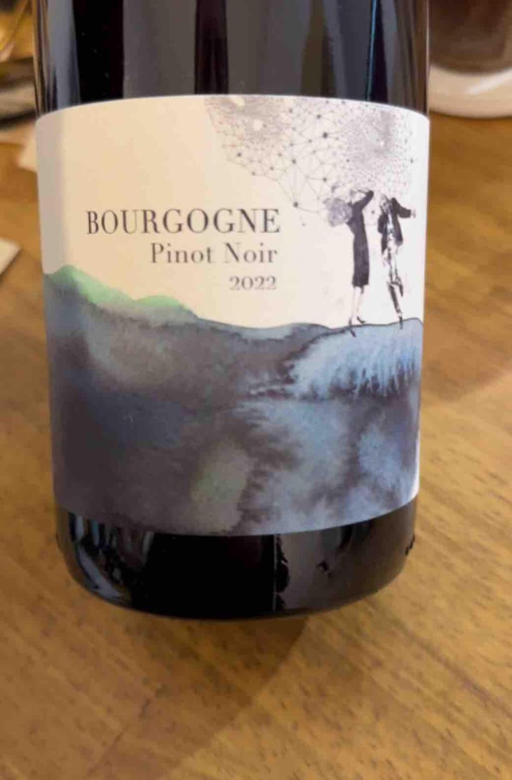 Bourgogne Pinot Noir - Domaine Didon - Naima & David Didon 