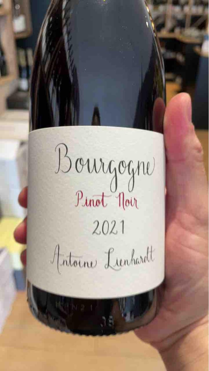 Bourgogne Pinot Noir (Label from 2020) - Antoine Lienhardt - Antoine Lienhardt 