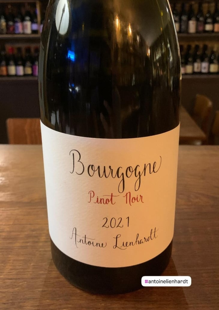 Bourgogne Pinot Noir (Label from 2020) - Antoine Lienhardt - Antoine Lienhardt 