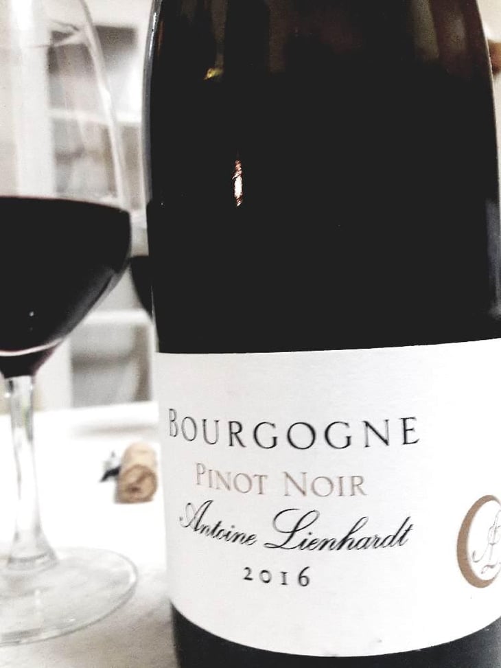 Bourgogne Pinot Noir - Antoine Lienhardt - Antoine Lienhardt 