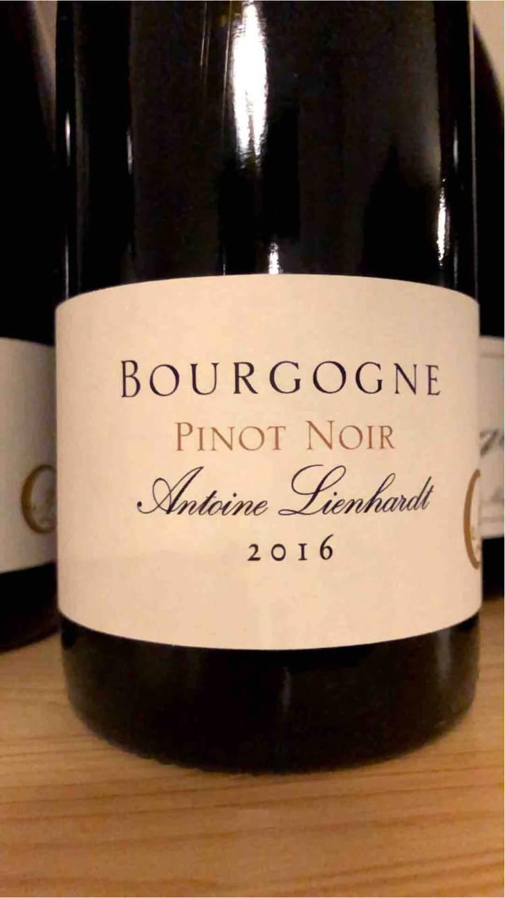 Bourgogne Pinot Noir - Antoine Lienhardt - Antoine Lienhardt 