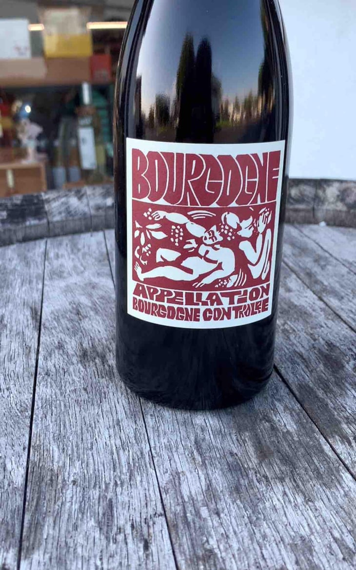 Bourgogne Rouge - Domaine de La Soeur Cadette - Jean & Valentin Montanet 