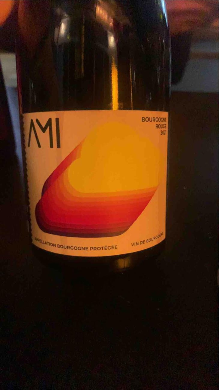 Bourgogne Rouge - Domaine Ami - Paul Marchand-Perarnau & Willy Roulendes 