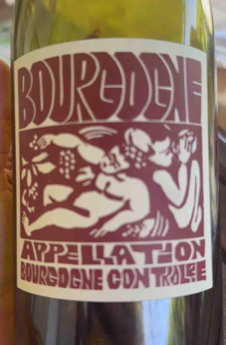 Bourgogne Rouge - Domaine de La Soeur Cadette - Jean & Valentin Montanet 