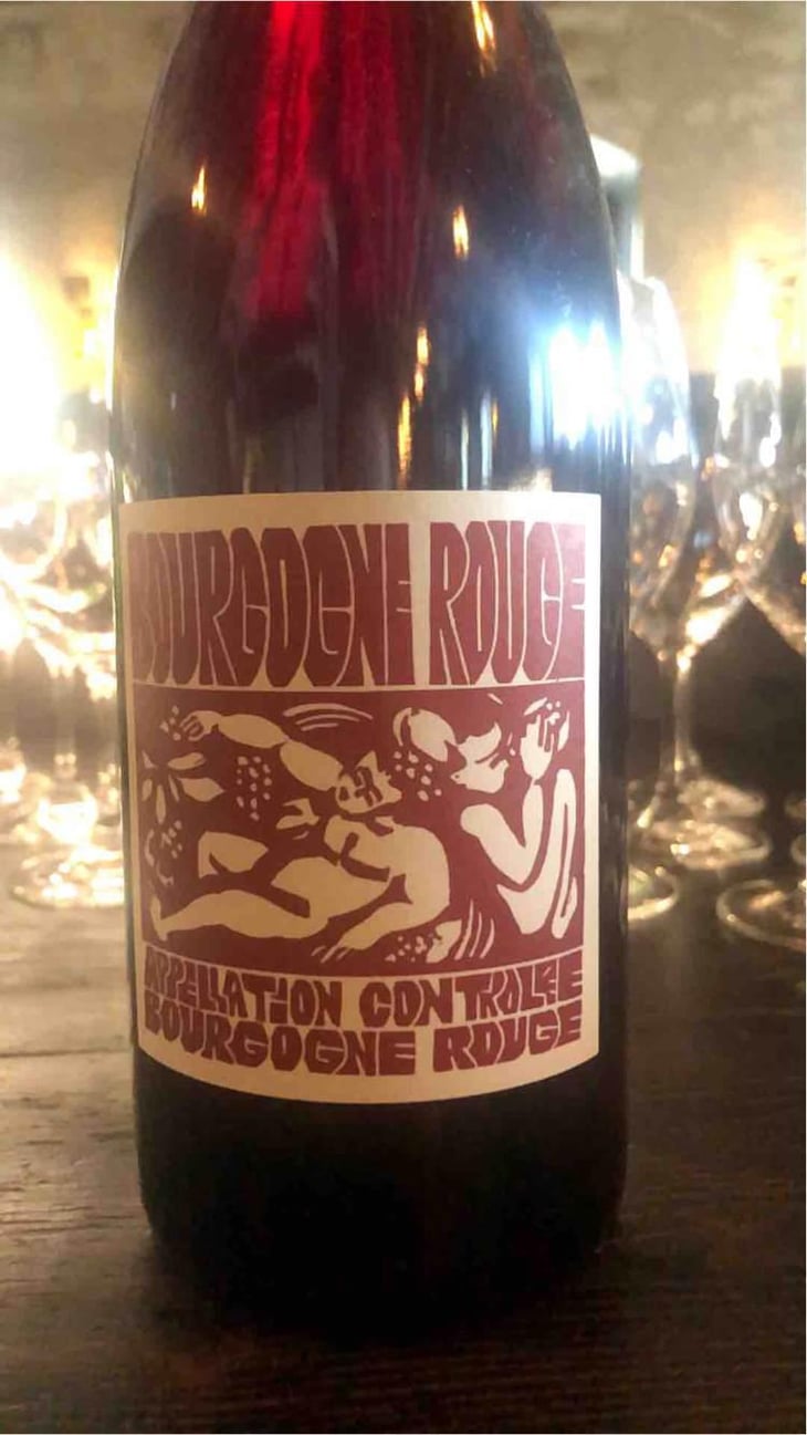 Bourgogne Rouge - Domaine de La Soeur Cadette - Jean & Valentin Montanet 