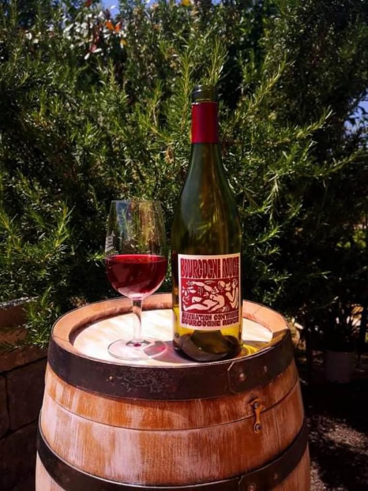 Bourgogne Rouge - Domaine de La Soeur Cadette - Jean & Valentin Montanet 