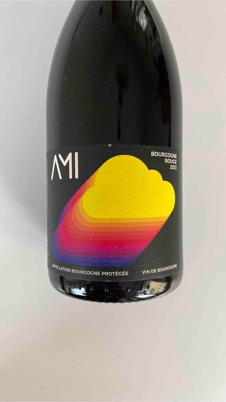 Bourgogne Rouge / Neige de printemps - Domaine Ami - Paul Marchand-Perarnau & Willy Roulendes -2021