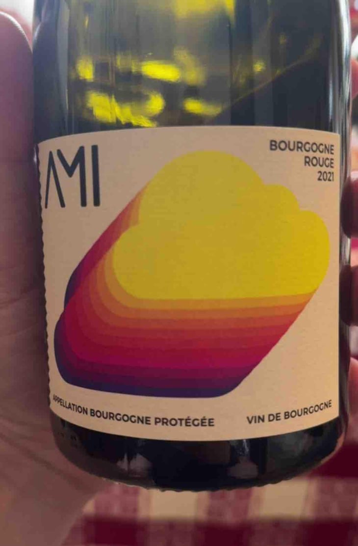 La Tête dans les Nuages Bourgogne Rouge - Domaine Ami - Paul Marchand-Perarnau & Willy Roulendes -2019