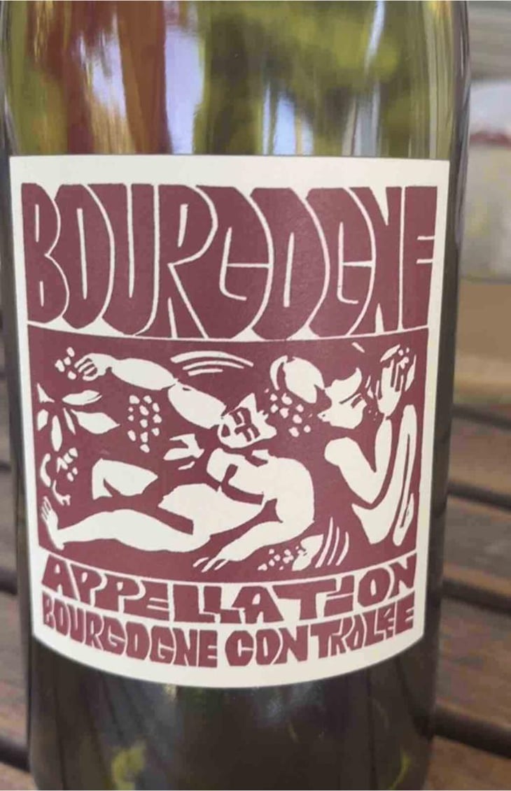 Bourgogne Rouge - Domaine de La Soeur Cadette - Jean & Valentin Montanet 