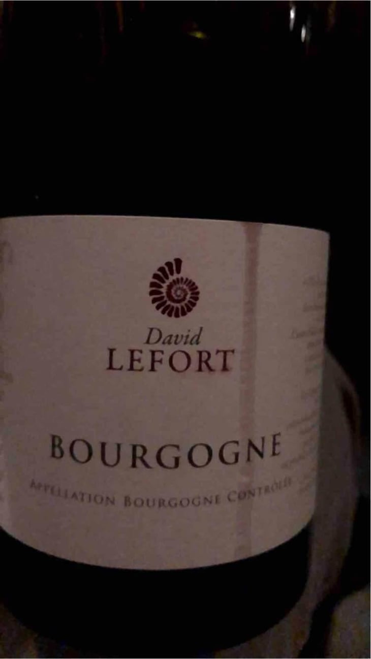 Bourgogne - David Lefort - David Lefort 