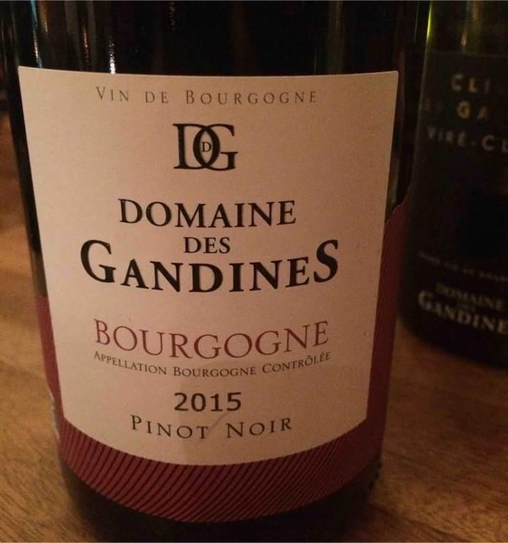 Bourgogne - Domaine des Gandines - Benjamin et Florent Dananchet 