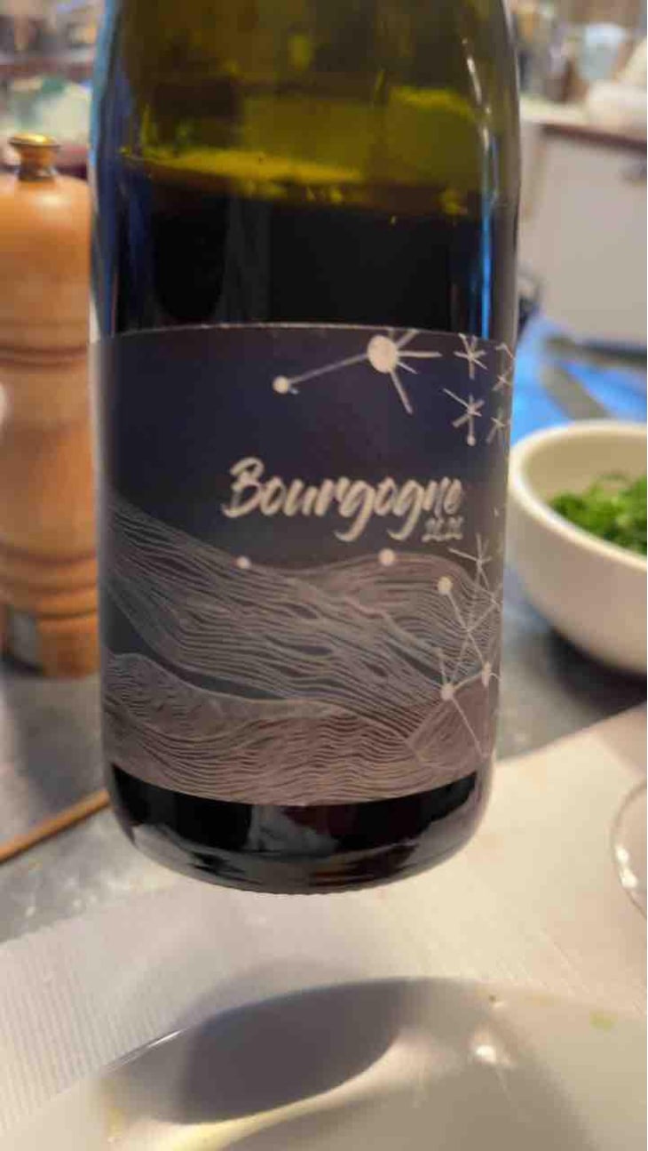Bourgogne Pinot Noir - Domaine Didon - Naima & David Didon 