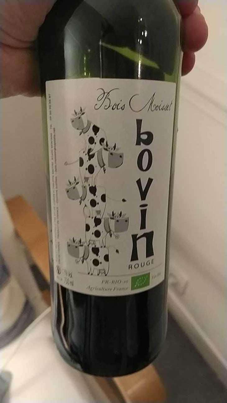 Bovin - Domaine Ferme Bois Moisset - Sylvie & Philippe Maffre -2019