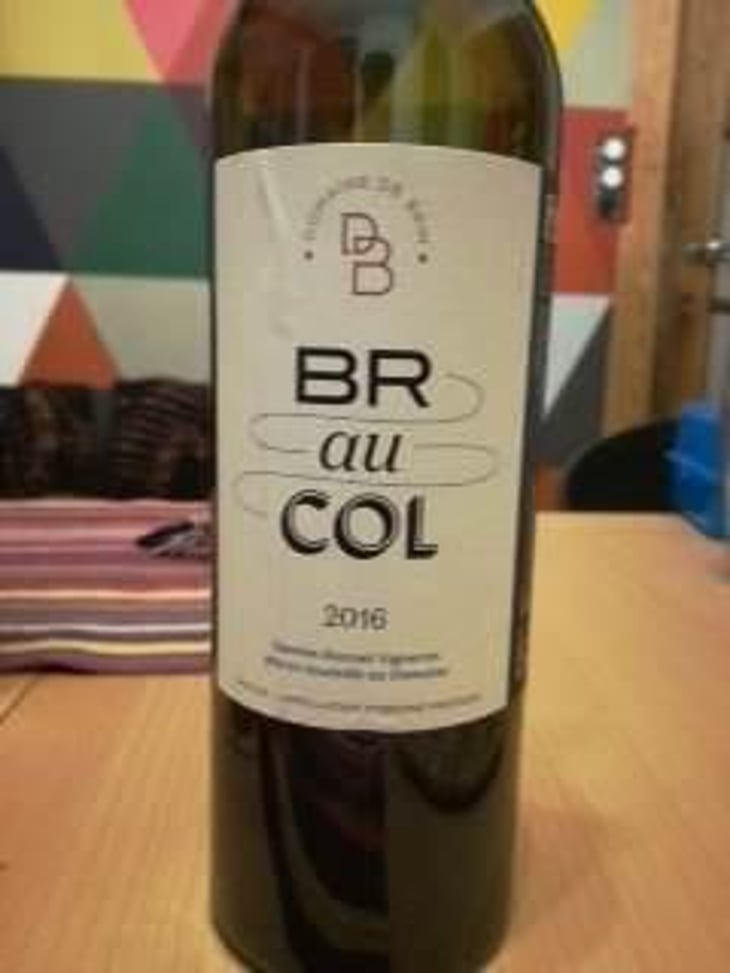 BR au COL - Domaine de Brin - Damien Bonnet 