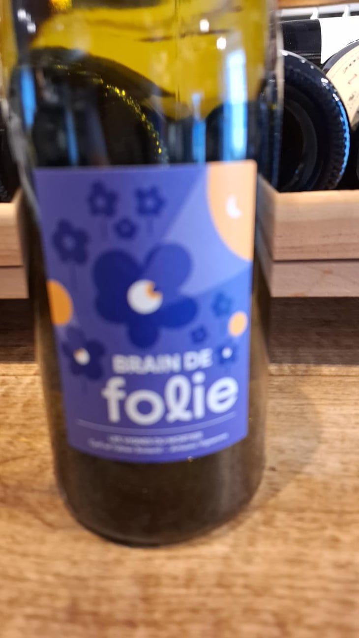 Brain de Folie Pineau d'Aunis - Domaine du Mortier - Fabien & Cyril Boisard -2023