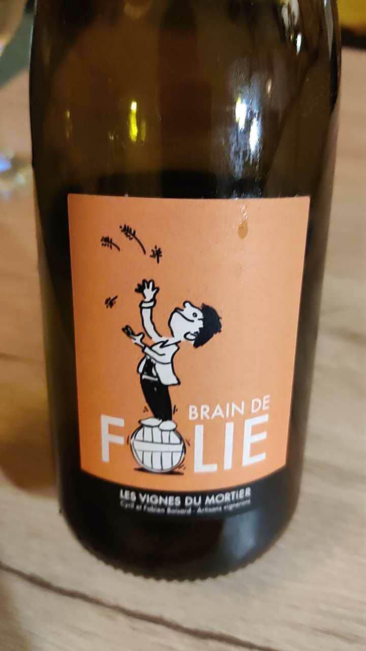 Brain de Folie Chenin - Domaine du Mortier - Fabien & Cyril Boisard 