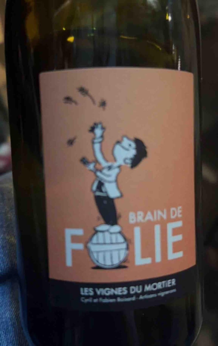 Brain de Folie Chenin - Domaine du Mortier - Fabien & Cyril Boisard 