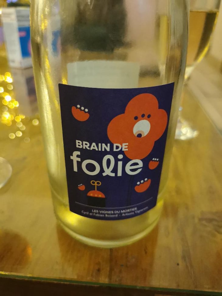 Brain de Folie Pineau d'Aunis - Domaine du Mortier - Fabien & Cyril Boisard -2023